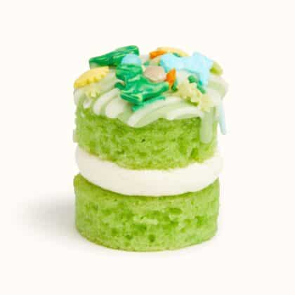 Dilly The Dinosaur (Box of 9)